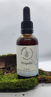 Alcoolature - Le Gattilier - Propolis