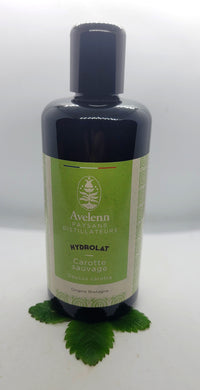 Hydrolat Carotte sauvage Bio - Avelenn