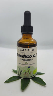 Alcoolature - Adaptitude - Éleuthérocoque