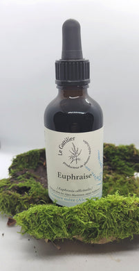 Alcoolature - Le Gattilier - Euphraise