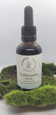 Alcoolature - Le Gattilier - Gaillet jaune