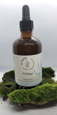 Alcoolature - Le Gattilier - Ginkgo