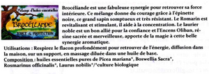 Mélange d'huiles essentielles Magiflore - Brocéliande