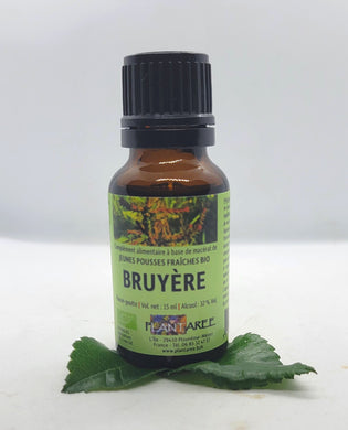 GEMMOTHÉRAPIE BRUYÈRE - 15ML - PLANTARÉE