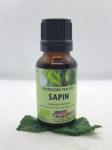 GEMMOTHÉRAPIE SAPIN - 15 ML - PLANTARÉE