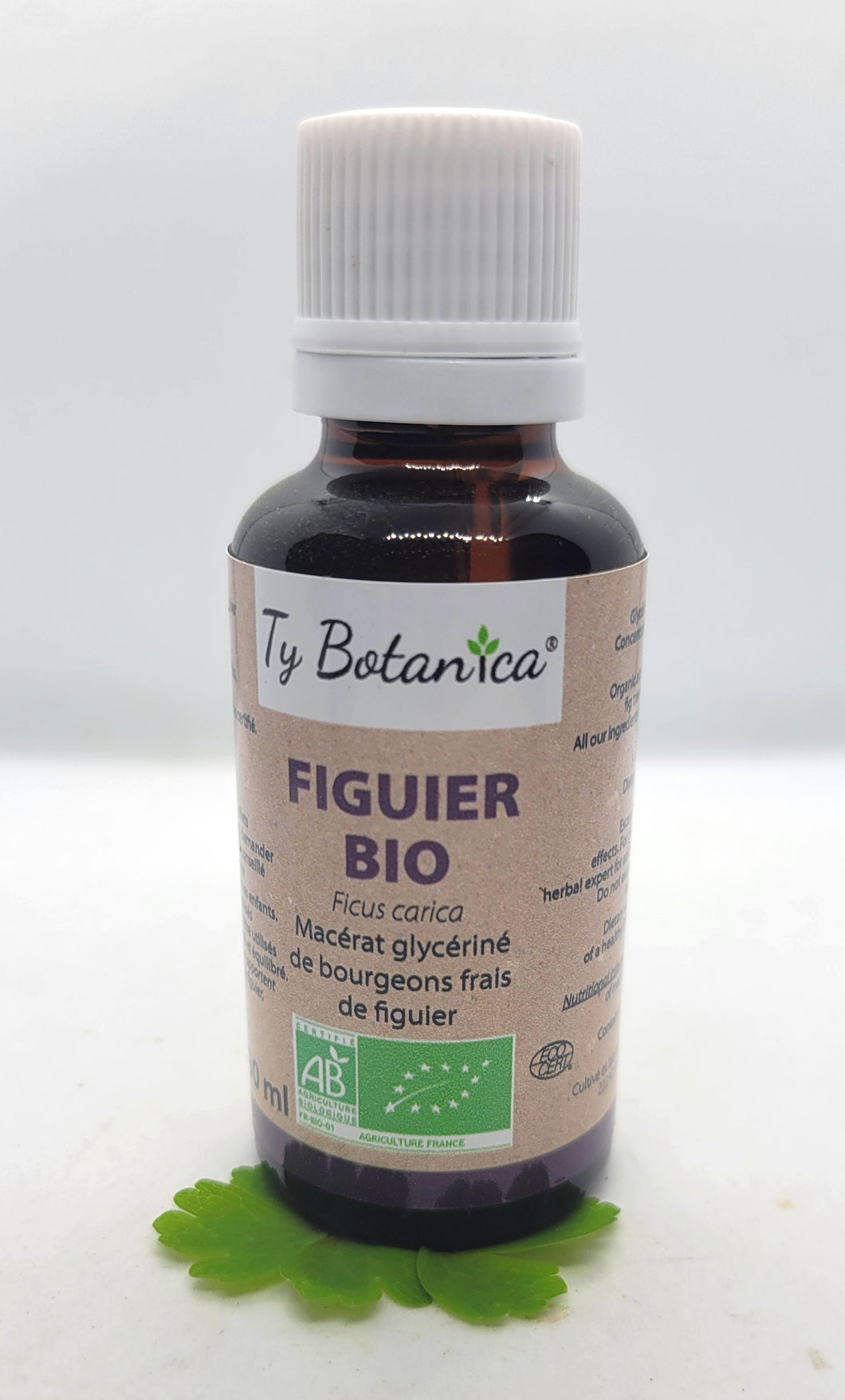 GEMMOTHÉRAPIE FIGUIER - 30 ML - TY BOTANICA