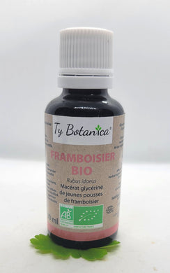 GEMMOTHÉRAPIE FRAMBOISIER - 30ML - TY BOTANICA