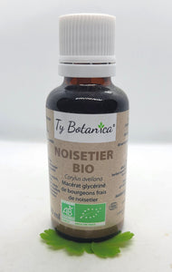 GEMMOTHÉRAPIE NOISETIER - 30ML - TY BOTANICA