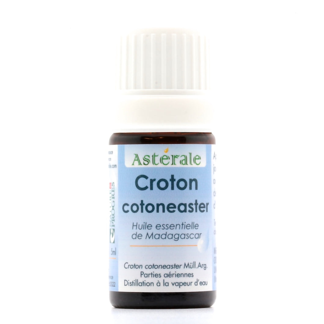 Huile Essentielle - Croton cotoneaster - Asterale