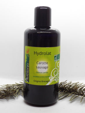 Hydrolat Carotte sauvage Bio - Avelenn