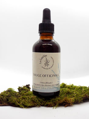 Alcoolature - Le Gattilier - Sauge officinale