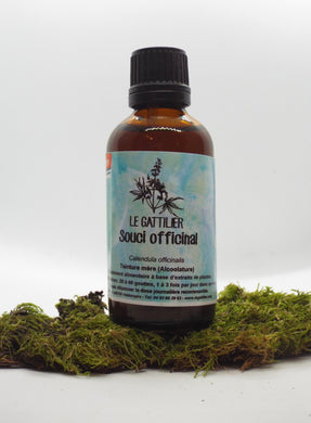 Alcoolature - Le Gattilier - Souci officinal