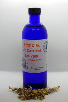 Hydrolat Carotte sauvage - Pachamama Factory