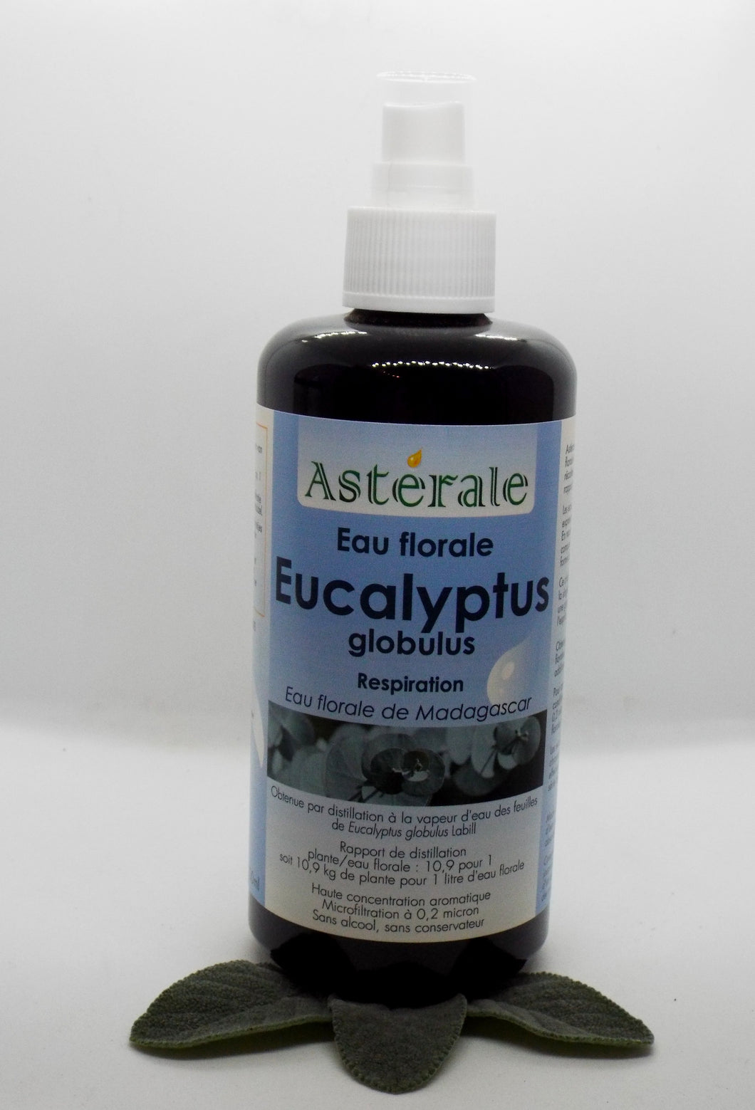 Hydrolat Eucalyptus Globulus - Astérale