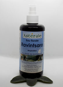 Hydrolat Ravintsara - Astérale