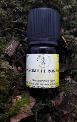 Huile Essentielle Camomille Romaine bio - Le Gattilier