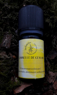 Huile Essentielle Cannelle de Ceylan bio - Le Gattilier