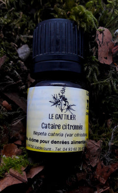 Huile Essentielle Cataire citronnée bio - Le Gattilier