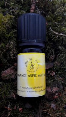 Huile Essentielle Lavande aspic sauvage bio - Le Gattilier