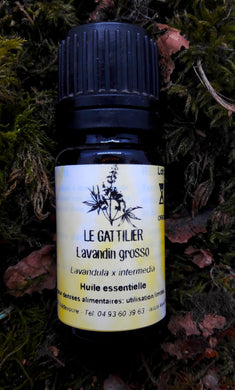 Huile Essentielle Lavandin grosso bio - Le Gattilier