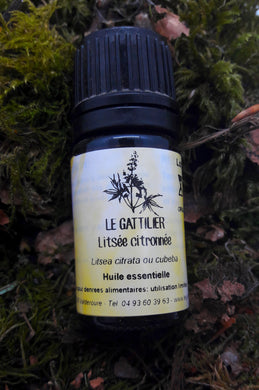Huile Essentielle Listée citronnée bio - Le Gattilier