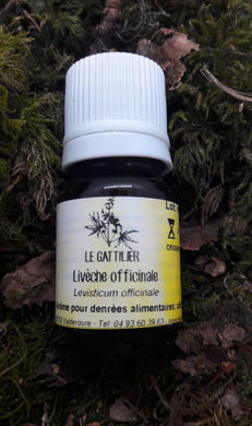 Huile Essentielle Livèche officinale bio - Le Gattilier