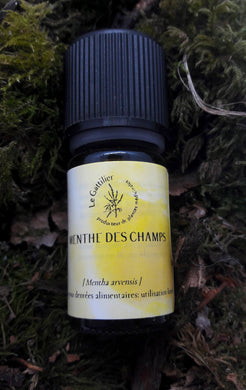 Huile Essentielle Menthe des champs bio - Le Gattilier