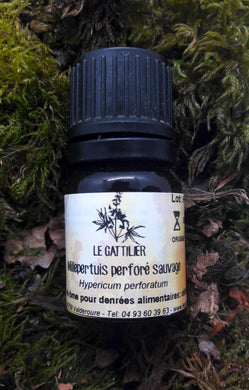 Huile Essentielle Millepertuis perforé sauvage bio - Le Gattilier